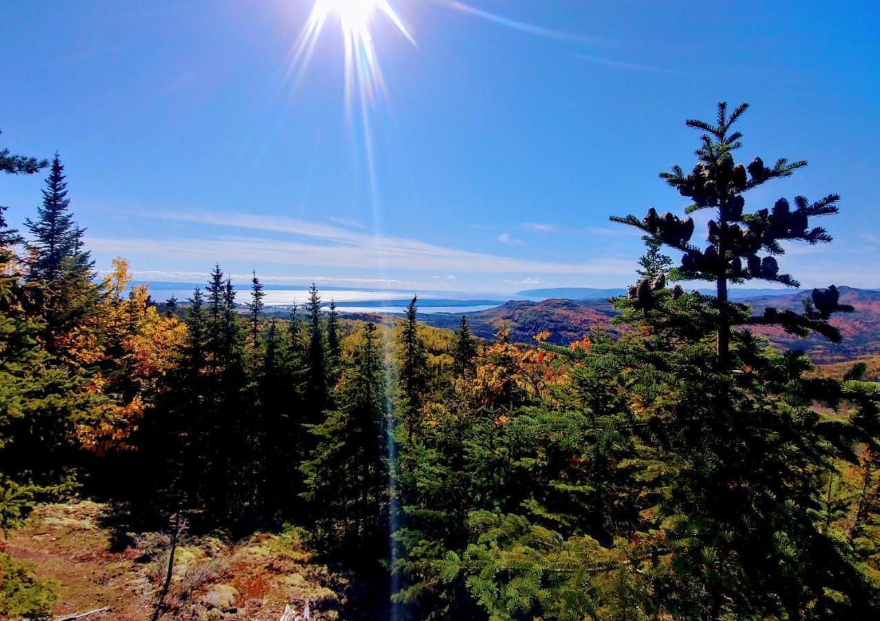 Saint-Joseph-de-la-Rive Auberge De La Rive De Charlevoix - Auberge De Jeunesse Familiale Pour Voyageurs De Tous Ages מראה חיצוני תמונה
