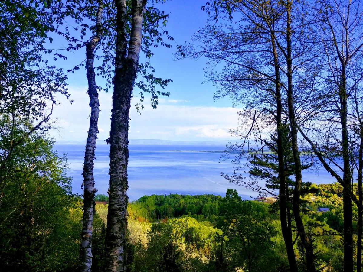 Saint-Joseph-de-la-Rive Auberge De La Rive De Charlevoix - Auberge De Jeunesse Familiale Pour Voyageurs De Tous Ages מראה חיצוני תמונה